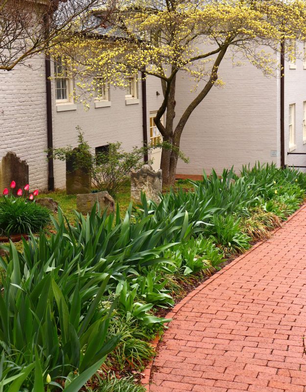 Brick Pathway Repair in Katy, TX
