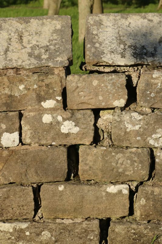 Stone Wall Repair in Waller, TX